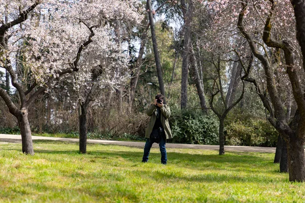 stock image Quinta de los Molinos. Flower. Spring. Community of Madrid park at the time of the flowering of almond and cherry trees in the streets of Madrid, in Spain. Spring 2023. MADRID SPAIN. FEBRUARY 22, 2023