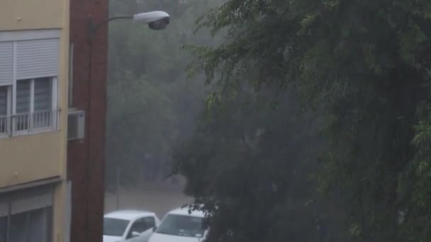 Regen Torrential Regen Als Gevolg Van Een Elektrische Storm Waar — Stockvideo