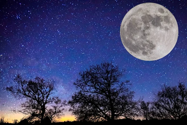 Full moon. Stars. super full moon. Full moon with the background full of stars in the galaxy. Horizontal photography. The Galaxy. With silhouette of trees. Strawberry moon. Photo. 4 June 2023.
