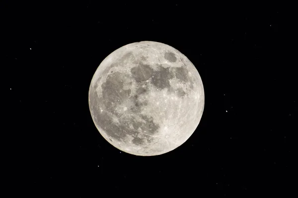 Wolf Moon Super Full Moon Dark Background Madrid Spain Europe — Φωτογραφία Αρχείου