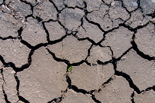 Crack. Dry soil. The global shortage of water on the planet. Global warming and greenhouse effect concept. The parched soil. Scheresse. Baraje. Drre. Soil drought cracked texture.