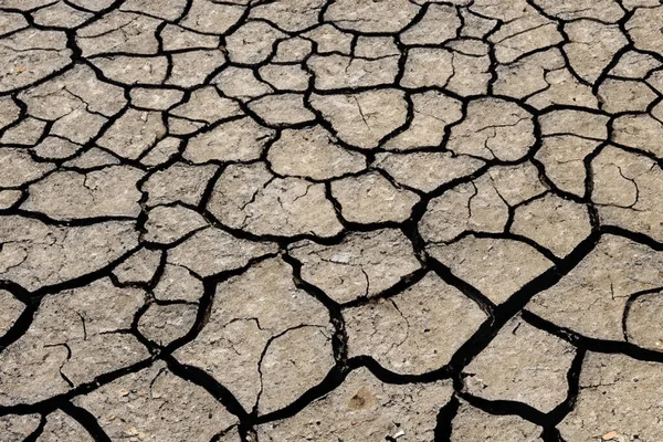 Crack. Dry soil. The global shortage of water on the planet. Global warming and greenhouse effect concept. The parched soil. Scheresse. Baraje. Drre. Soil drought cracked texture.