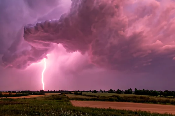 Ray Lightning Storm Lightning Bolt Storm Fork Lightning Striking Lightning — Stock Photo, Image