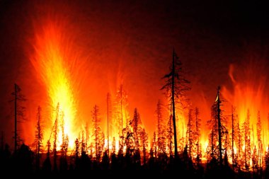 Wildfire. Palisades. Forest fire. Forest. Forest fire in progress. Fire. Large flames. USA. Climate change. 2025. January. California. Los Angeles. Pacific Palisades. Malibu. Hollywood. Kenneth. Eaton