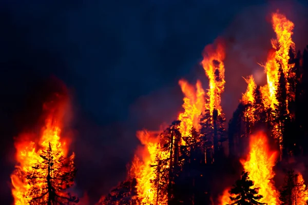 Wildfire Wildfire British Columbia Canada Forest Fire Forest Fire Progress — Stockfoto