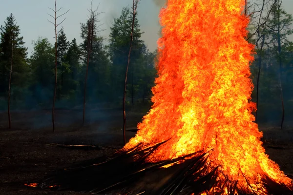 Divoký Oheň Candelaria Lesní Požár Probíhá Požár Pal Velké Plameny — Stock fotografie