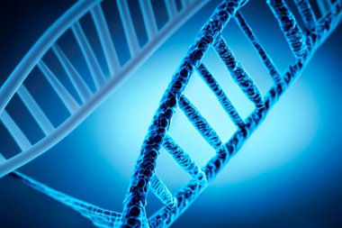 DNA testi. İnsan hücre biyolojisinin DNA iplikçiklerinin moleküler yapısının tasviri. Mavi DNA yapısı izole edilmiş. Üç boyutlu illüstrasyon. DNA molekülünün sarmal sarmalı. Genetik hücre kavramı.