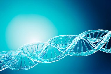 DNA testi. İnsan hücre biyolojisinin DNA iplikçiklerinin moleküler yapısının tasviri. Mavi DNA yapısı izole edilmiş. Üç boyutlu illüstrasyon. DNA molekülünün sarmal sarmalı. Genetik hücre kavramı.