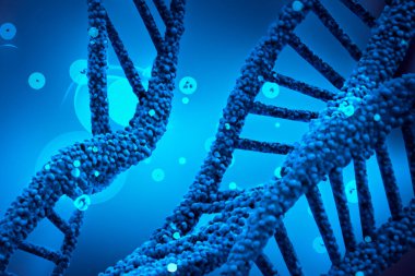DNA testi. İnsan hücre biyolojisinin DNA iplikçiklerinin moleküler yapısının tasviri. Mavi DNA yapısı izole edilmiş. Üç boyutlu illüstrasyon. DNA molekülünün sarmal sarmalı. Genetik hücre kavramı.