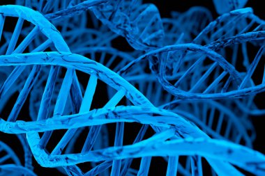 DNA testi. İnsan hücre biyolojisinin DNA iplikçiklerinin moleküler yapısının tasviri. Mavi DNA yapısı izole edilmiş. Üç boyutlu illüstrasyon. DNA molekülünün sarmal sarmalı. Genetik hücre kavramı.