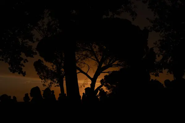 Закат Красочный Закат Силуэтами Деревьев Людей Красочном Закате Парке Мадриде — стоковое фото