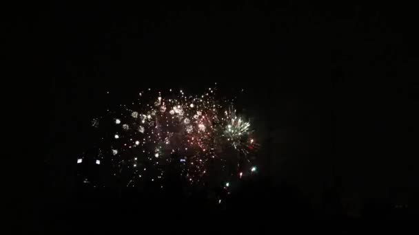 Vuurwerk Kleurrijke Viering Vuurwerk Geïsoleerd Een Zwarte Lucht Achtergrond Van — Stockvideo