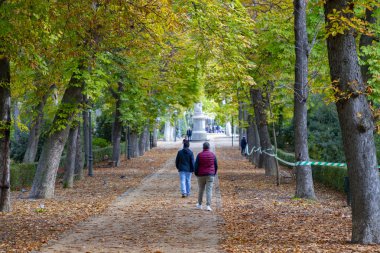 Sonbahar. Sonbahar manzarası. Sonbahar renkleri. Orman yolu. Turuncu renk ağacı, sonbahar parkında kırmızı kahverengi akçaağaç yaprakları. Güzel turuncu ve sarı yapraklar. Bulanık park. Sonbahar doğal arka planı. 2023.