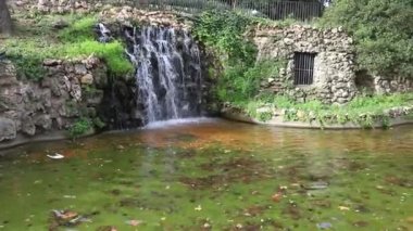 Şelale. Madrid 'de bir parkta şelale. Buen Retiro 'nun yapay dağı, Kediler Dağı olarak bilinir. Yeşil bitki örtüsü, bitki ve yapraklarla çevrili karanlık taş arka plan. Sonbahar renkleri.