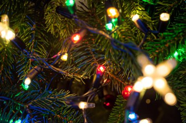 Noel ışıkları. Işıklar. Tatillerde şehrin sokaklarını süsleyen renkli ışıklar. Boks etkisi. Geçmişi. Noel ışıklarının dairesel yansımaları. Ağaç arkaplanını kapat.