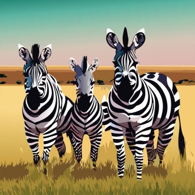 Zebra. İllüzyon. Zebra doğal çim habitatında, Kenya Ulusal Parkı. Doğal yaşam sahnesi, Afrika. Uluslararası Zebra Günü. 31 Ocak. 2024.