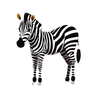 Zebra. İllüzyon. Zebra doğal çim habitatında, Kenya Ulusal Parkı. Doğal yaşam sahnesi, Afrika. Uluslararası Zebra Günü. 31 Ocak. 2024.
