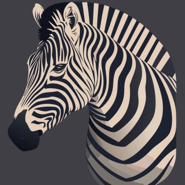 Zebra. İllüzyon. Zebra doğal çim habitatında, Kenya Ulusal Parkı. Doğal yaşam sahnesi, Afrika. Uluslararası Zebra Günü. 31 Ocak. 2024.