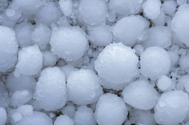 Selam olsun. Tayland tatlısı, glutinous rice balls, yakın plan fotoğraf. Kış mevsiminde donmuş karpuz yaprakları. Buz küpleri tutan kadın ellerine yakın çekim. Önplana odaklan.