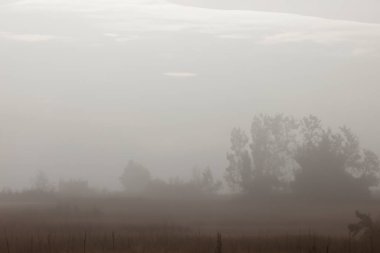 Haze. Gökyüzü puslu ve bulutlu. Sisli bir sabahta yüksek binaların silueti. Şiddetli hava kirliliği, bulanıklığı ve kötü görüş mesafesi şehirdeki yüksek binaları net bir şekilde görmemi zorlaştırıyor..