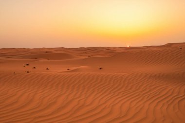 Çöl. Dunset çölde. Dubai 'de çöl. Umman 'daki boş bölge ve açık kum tepeciği El Khali' yi ovuyor. Panoramik. Sahra Çölü 'nde mavi gökyüzü olan altın kum tepeciklerinin manzarası.