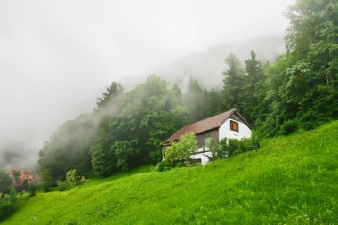 Dağlarda ıssız bir ev, güzel tipik bir kuzey Avrupa evi, yemyeşil, sisli bir manzara. Yeşil çayırları ve dağlarda evi olan güzel yaz manzarası.