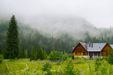 Dağlarda ıssız bir ev, güzel tipik bir kuzey Avrupa evi, yemyeşil, sisli bir manzara. Yeşil çayırları ve dağlarda evi olan güzel yaz manzarası.