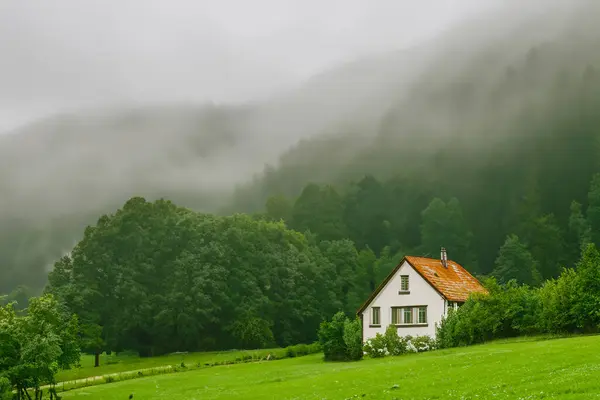 Dağlarda ıssız bir ev, güzel tipik bir kuzey Avrupa evi, yemyeşil, sisli bir manzara. Yeşil çayırları ve dağlarda evi olan güzel yaz manzarası.