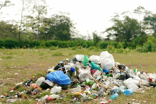 Çok saçma. Çamur. Doğadaki çöpler. Bir grup çevreci gönüllü parkta plastik çöpleri topluyor. Eylemciler çöp topluyorlar, gezegeni koruyorlar, kirlilikten kaçınıyorlar ve çevreyi kurtarıyorlar. Basuraleza.