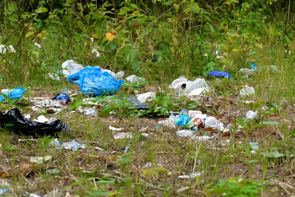 Çok saçma. Çamur. Doğadaki çöpler. Bir grup çevreci gönüllü parkta plastik çöpleri topluyor. Eylemciler çöp topluyorlar, gezegeni koruyorlar, kirlilikten kaçınıyorlar ve çevreyi kurtarıyorlar. Basuraleza.