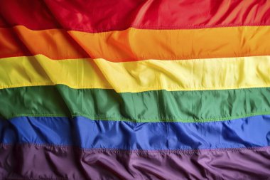 LGBT. 2024. LGTB. Lgbt bayrağı, gey, lezbiyen, lgbtq bayrağı. Eşcinsel gurur sembolü. Arka planda gökkuşağı renginde Lgbt yumruğu. Karşılıklı desteğin sembolü. Kalp gökkuşağı. Bayrak taşıyan kadın ve erkekler.