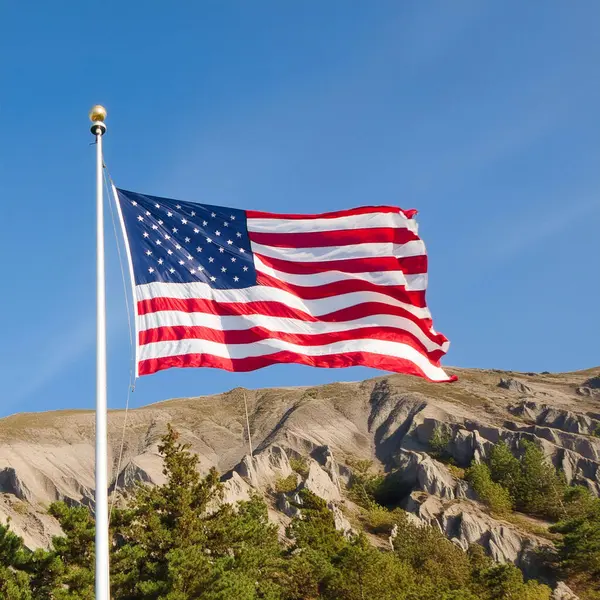 ABD bayrağı. 4 Temmuz. Parçalı bulutlu mavi gökyüzü rüzgarda dalgalanan Amerikan bayrağı. Chicago 'da arka planında gökdelenler olan ABD bayrağı. Bağımsızlık Günü kutlaması. 4 Temmuz kutlamaları.