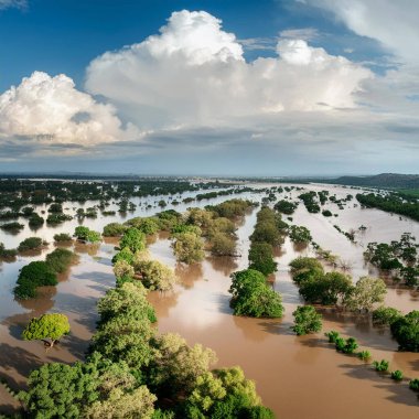 Floods. Flood. Streets, promenades and beach flooded. Rains. Storms. Storm. Tropical. Hurricane. Dead. Disappeared. Heavy rain. 2024. Cyclone. Kirk. Leslie. Milton. Berenice. Typhoon. Florida. Yucatan