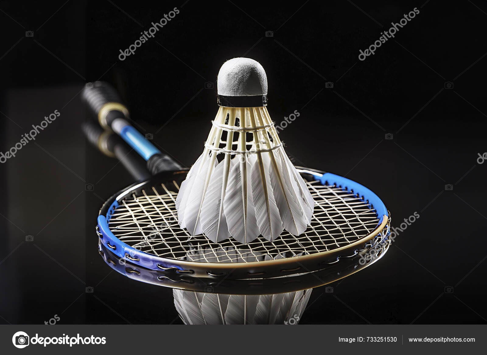 Badminton Shuttlecocks Badminton Racket Olympic Games 2024 Olympic