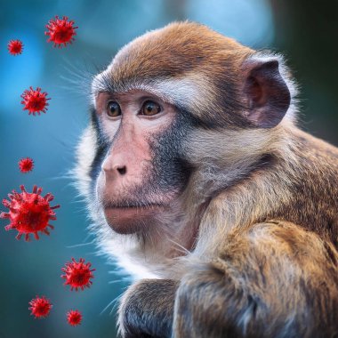 Mpox. Clade 2. Monkeypox. Monkeypox blisters on arm. Virus, epidemic, disease. New, more lethal strain of monkeypox virus alerts WHO. Deadly new strain of monkeypox could trigger pandemic. Clade 1 clipart