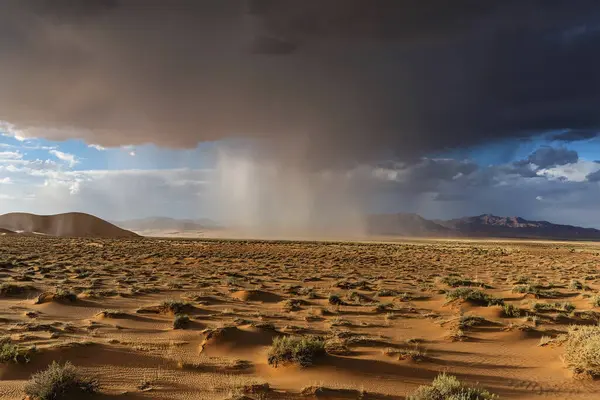 Rain in the desert. Rain in the Sahara Desert. A week of heavy rain is coming in the Sahara Desert. Record high. 2024. Affected countries include Algeria, Mali, Libya and parts of Niger.
