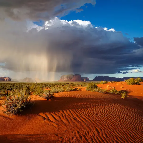Rain in the desert. Rain in the Sahara Desert. A week of heavy rain is coming in the Sahara Desert. Record high. 2024. Affected countries include Algeria, Mali, Libya and parts of Niger.