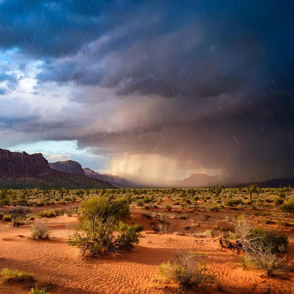 Rain in the desert. Rain in the Sahara Desert. A week of heavy rain is coming in the Sahara Desert. Record high. 2024. Affected countries include Algeria, Mali, Libya and parts of Niger.