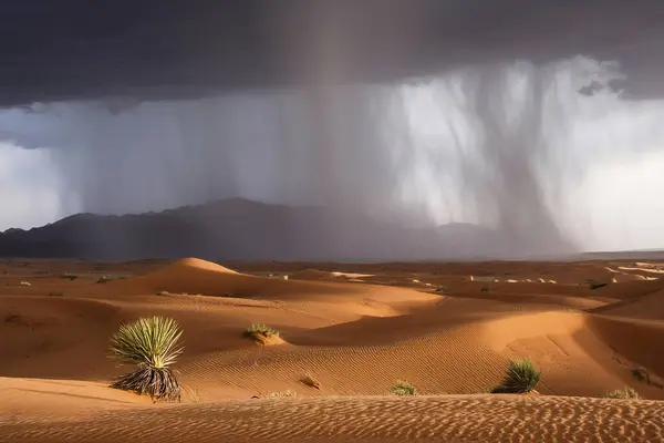 Rain in the desert. Rain in the Sahara Desert. A week of heavy rain is coming in the Sahara Desert. Record high. 2024. Affected countries include Algeria, Mali, Libya and parts of Niger.
