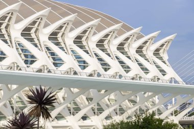 Sanat ve Bilim Şehri 'nde. Valencia 'da. Oşinografik. Bilim Müzesi. Hemisferik. Valencia 'da Palau de les arts. Santiago Calatrava tarafından tasarlanan binalar. Bir balinanın iskeletine benziyor..