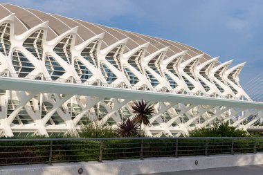 Sanat ve Bilim Şehri 'nde. Valencia 'da. Oşinografik. Bilim Müzesi. Hemisferik. Valencia 'da Palau de les arts. Santiago Calatrava tarafından tasarlanan binalar. Bir balinanın iskeletine benziyor..