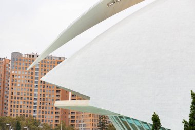 Sanat ve Bilim Şehri 'nde. Valencia 'da. Oşinografik. Bilim Müzesi. Hemisferik. Valencia 'da Palau de les arts. Santiago Calatrava tarafından tasarlanan binalar. Bir balinanın iskeletine benziyor..