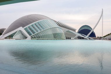 Sanat ve Bilim Şehri 'nde. Valencia 'da. Oşinografik. Bilim Müzesi. Hemisferik. Valencia 'da Palau de les arts. Santiago Calatrava tarafından tasarlanan binalar. Bir balinanın iskeletine benziyor..