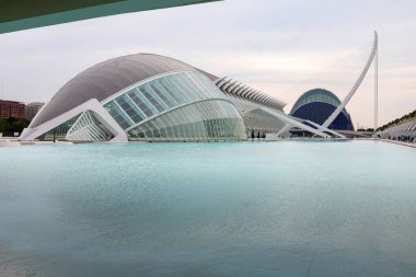 Sanat ve Bilim Şehri 'nde. Valencia 'da. Oşinografik. Bilim Müzesi. Hemisferik. Valencia 'da Palau de les arts. Santiago Calatrava tarafından tasarlanan binalar. Bir balinanın iskeletine benziyor..