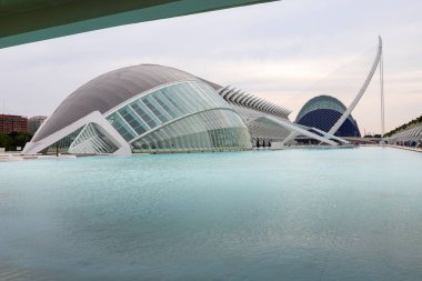 Sanat ve Bilim Şehri 'nde. Valencia 'da. Oşinografik. Bilim Müzesi. Hemisferik. Valencia 'da Palau de les arts. Santiago Calatrava tarafından tasarlanan binalar. Bir balinanın iskeletine benziyor..