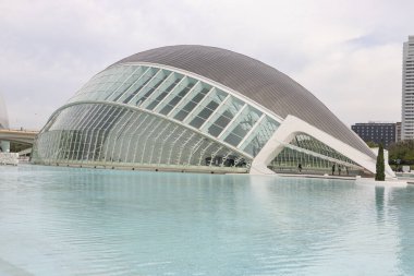 Sanat ve Bilim Şehri 'nde. Valencia 'da. Oşinografik. Bilim Müzesi. Hemisferik. Valencia 'da Palau de les arts. Santiago Calatrava tarafından tasarlanan binalar. Bir balinanın iskeletine benziyor..