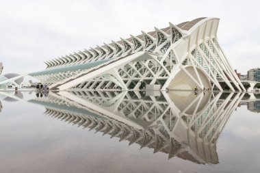Sanat ve Bilim Şehri 'nde. Valencia 'da. Oşinografik. Bilim Müzesi. Hemisferik. Valencia 'da Palau de les arts. Santiago Calatrava tarafından tasarlanan binalar. Bir balinanın iskeletine benziyor..