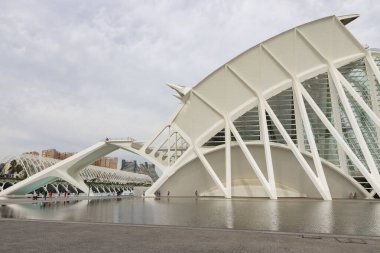 Sanat ve Bilim Şehri 'nde. Valencia 'da. Oşinografik. Bilim Müzesi. Hemisferik. Valencia 'da Palau de les arts. Santiago Calatrava tarafından tasarlanan binalar. Bir balinanın iskeletine benziyor..