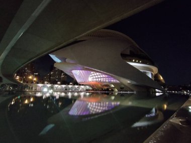 Sanat ve Bilim Şehri 'nde. Valencia 'da. Oşinografik. Bilim Müzesi. Hemisferik. Valencia 'da Palau de les arts. Santiago Calatrava tarafından tasarlanan binalar. Bir balinanın iskeletine benziyor..