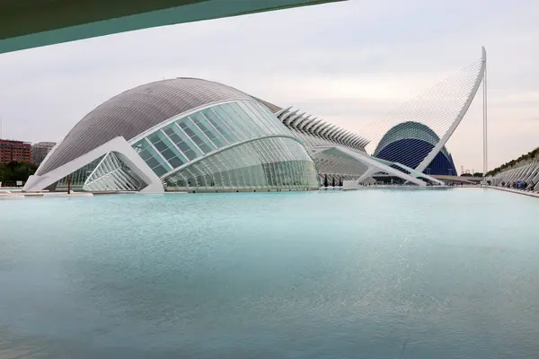 stock image City of Arts and Sciences. In Valencia. Oceanographic. Museum of Science. Hemispheric. Palau de les arts de Valencia. Buildings designed by Santiago Calatrava. It resembles the skeleton of a whale.